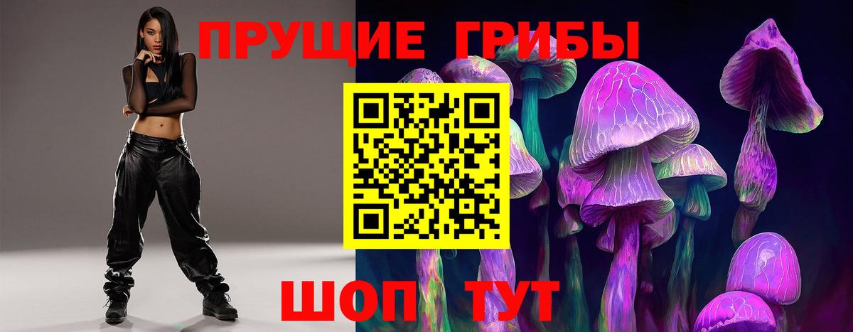 Майкоп  Псилоцибиновые грибы мицелий  Вход с VPN 